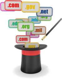 Website Domain